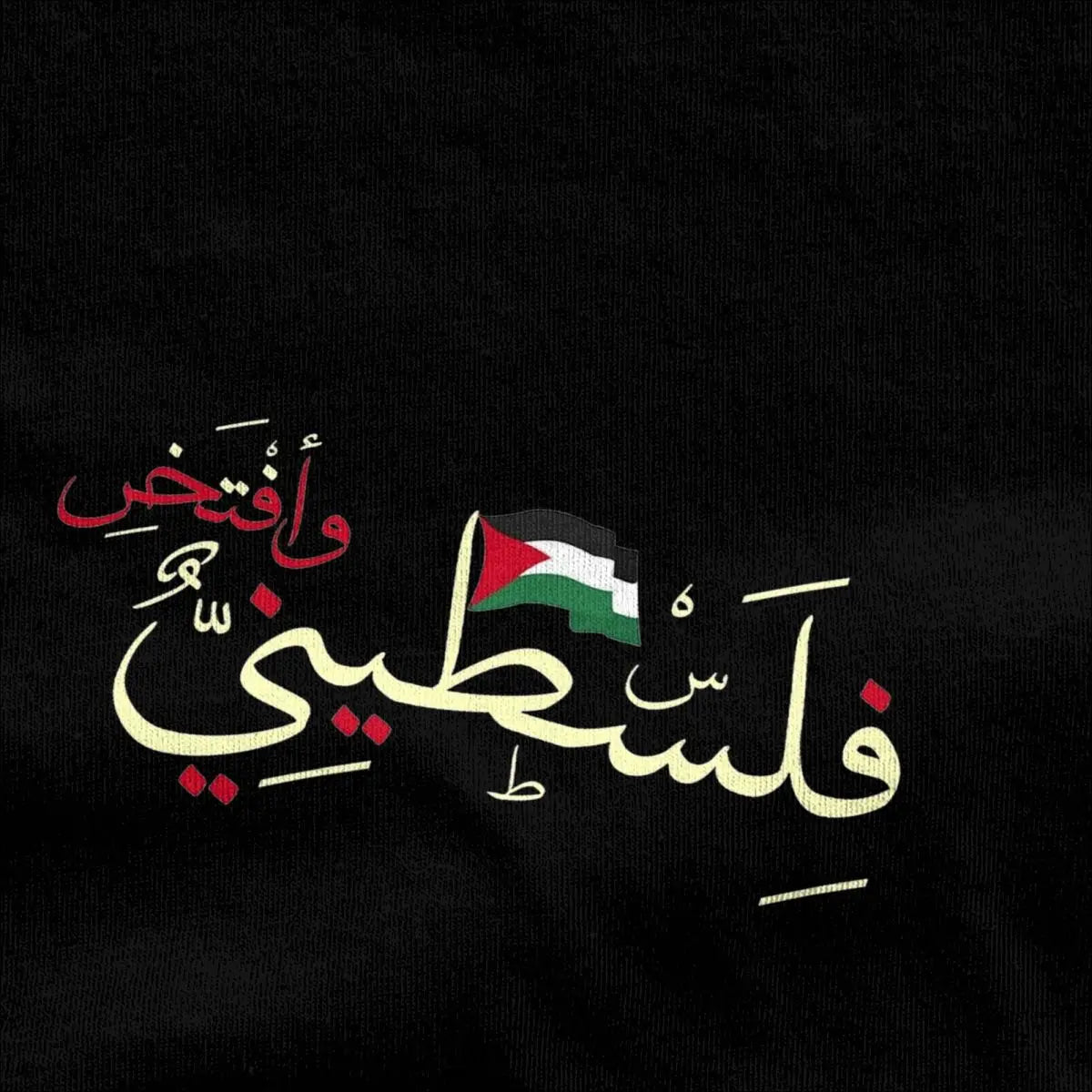 Palestine Flag T-Shirt Hipster T Shirts Short Sleeves Y2K Casual Tshirt Summer Cotton O Neck Oversize Clothes