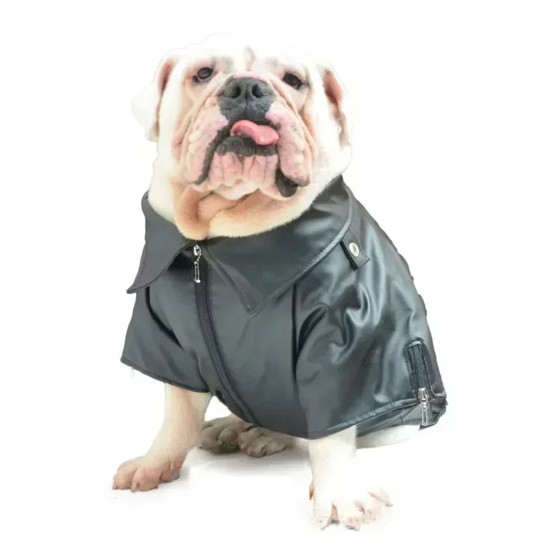 Dog Leather Coat Jacket Winter French Bulldog Clothes Outfit Garment English Bulldog American Bully Pitbull Clothing Dropship