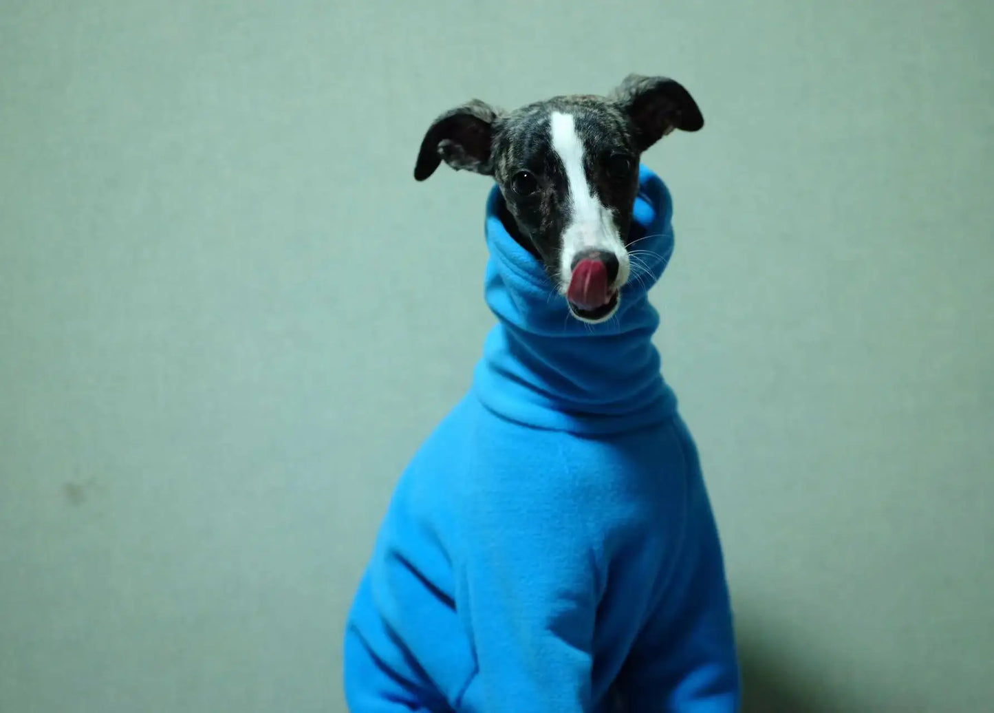 Whippet Polar Fleece Turtleneck Four Legged Jacket Blue Italian Greyhound Winter Clothes