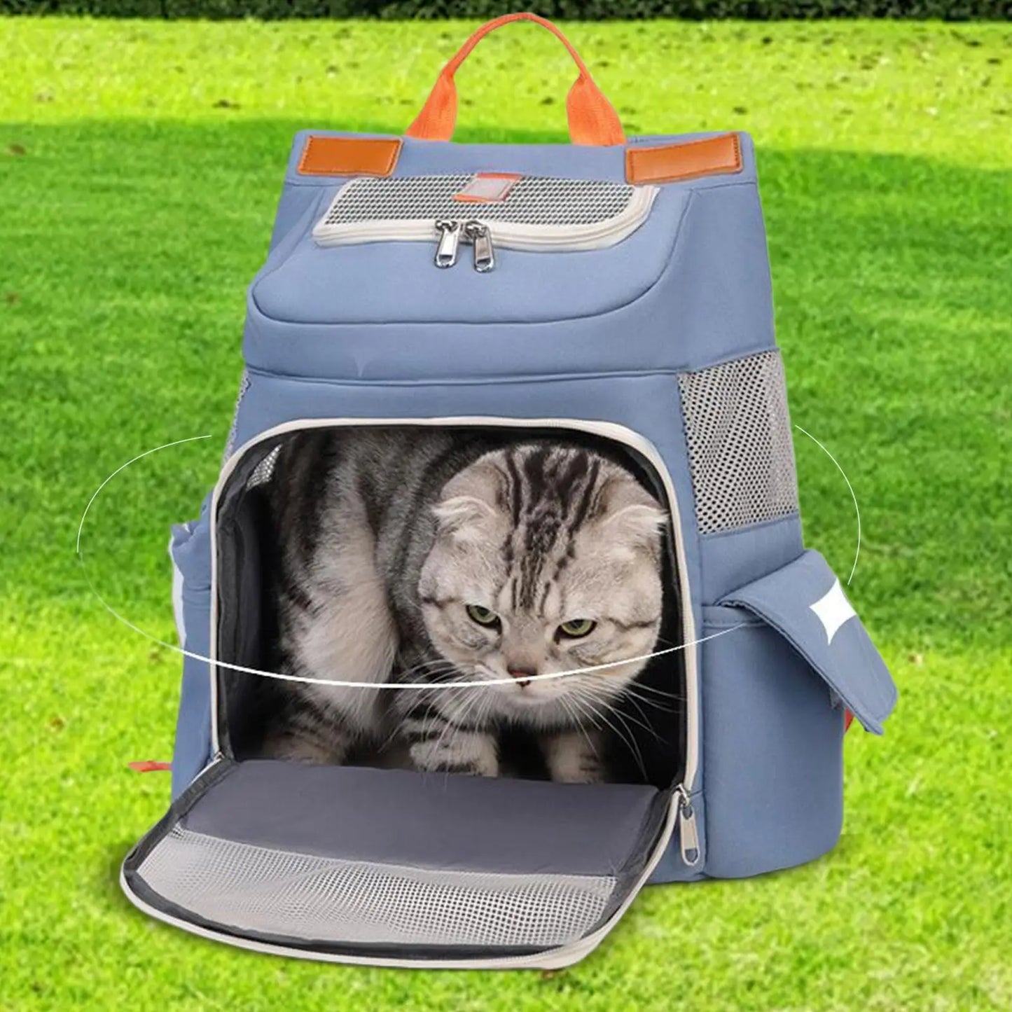 Dog Backpack Carrier Portable Pet Travel Carrier Ventilated Buckle Support Design Cat Puppy Bag Travel Bag for Travel Outdoor