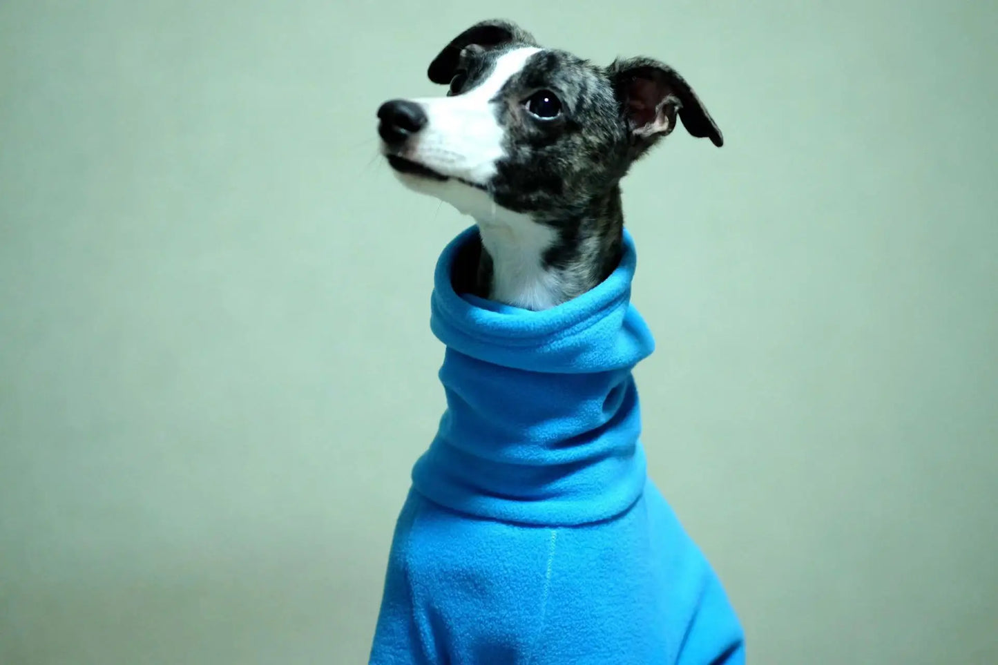 Whippet Polar Fleece Turtleneck Four Legged Jacket Blue Italian Greyhound Winter Clothes