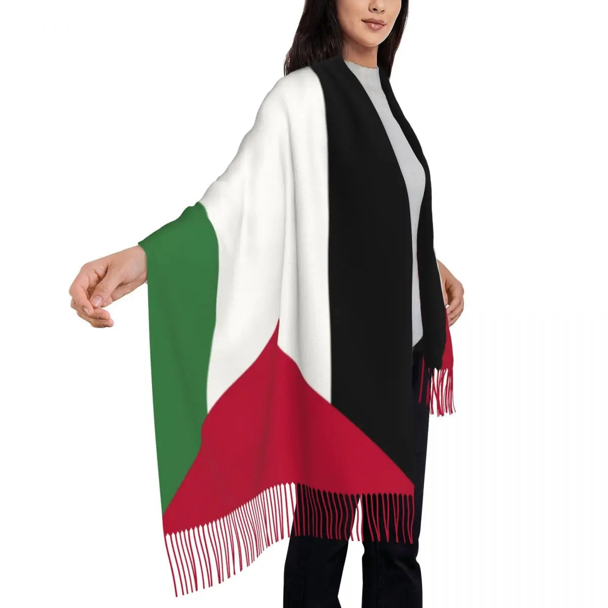 Palestines Flag Tassel Scarf Women Soft Palestinians Patriotic Shawl Wrap Ladies Winter Fall Scarves